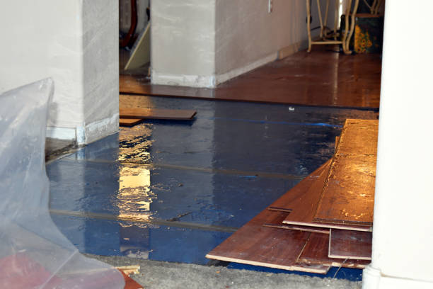 Professional Burst Pipe Cleanup technician working in Belfair, WA